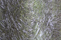 Garth Owen fibreglass roof work